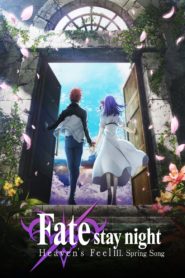 Fate/stay night: Heaven’s Feel III. Spring Song 2020